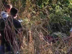 Douradense que morava no Paraná é assassinado e jogado em mata