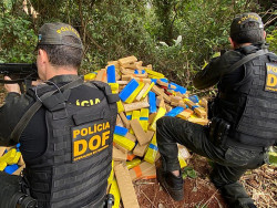 Mais de 1 tonelada de maconha é apreendida por policiais do DOF