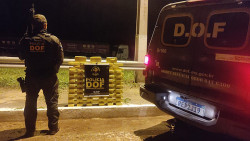 DOF apreende R$ 5 milhões em pasta-base de cocaína na fronteira