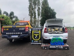 Operação Hórus/MS: Equipe Tática da Polícia Militar Rodoviária apreende “supermaconha” e recupera veículo com placas adulteradas