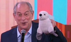 Após pedir cassação de Bolsonaro, Ciro lançar comitê com Riedel em MS