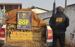 Homem é preso transportando maconha em carga de abacaxi