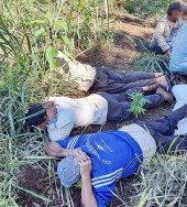 Quadrilha que roubava gado e fazia abate é presa na fronteira