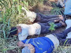 Quadrilha que roubava gado e fazia abate é presa na fronteira