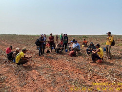 PF e MPT encontram 30 paraguaios sendo escravizados em MS