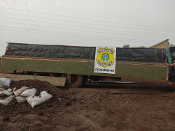 PRF apreende seis toneladas de maconha na fronteira