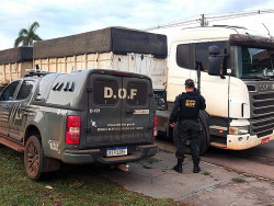 Carreta com sinais de adulterações é apreendida pelo DOF