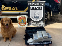 Cão farejador localiza cocaína e mulher é presa em aeroporto de MS