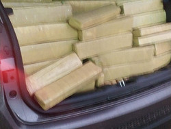 PRF prende motorista de carro locado transportando maconha