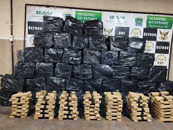 Entreposto de drogas é estourado no bairro Flor de Maio em Dourados