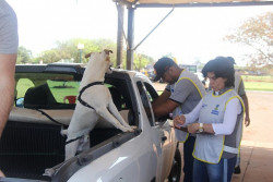Drive-thru “Latemia” vacina quase 2 mil animais contra a raiva