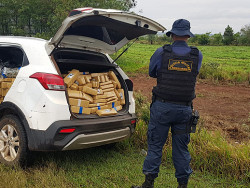 PMR apreende mais de 600 quilos de maconha ao  recupera veículo roubado