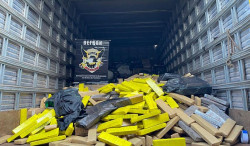 Defron apreende 9,5 toneladas de maconha em Ponta Porã