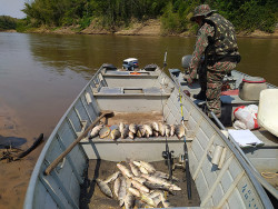 PMA autua 75 pescadores e apreende 423 kg de pescado em três meses