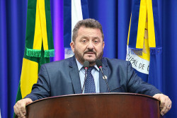 Laudir solicita faixas elevadas em locais de grande movimentação