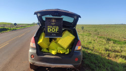 Mais de 600 quilos de maconha são apreendidos na área de fronteira