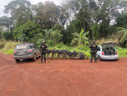 Mais de 600 quilos de maconha são apreendidos pelo DOF em oito bicicletas