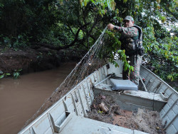 Ambiental aplica R$ 57 mil em multas na Operação Padroeira do Brasil