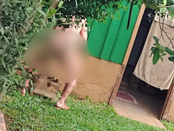 Homem é preso praticando sexo com cachorro na fronteira