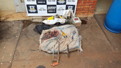 Usuário de drogas é preso pela GMD cometendo furtos de fios