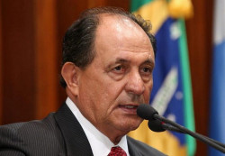 Aprovado projeto de Zé Teixeira que institui Colar de Girassol em MS