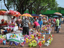 Cadastro de ambulantes para Dia de Finados começa na segunda