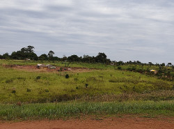 Homem sai do mato, ataca pessoas e mata menina de 12 anos