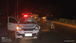 Cavalo morre e carroça parte ao meio após colisão em rodovia de Dourados