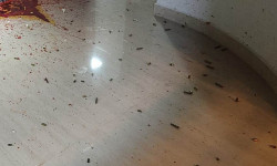 Chefe do tráfico na fronteira teve cabeça destroçada por tiros