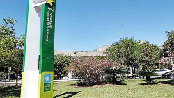 MS já recebeu R$ 848 milhões de verba federal para combater pandemia de covid-19