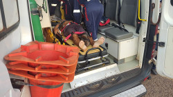 Homem é atingido com tiro no abdômen após agredir tia de 74 anos