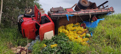Motorista de caminhão morre preso às ferragens após acidente na BR-376