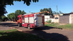 Ataques de abelhas em Dourados deixa seis pessoas feridas