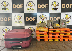 Maconha e skunk são apreendidas pelo DOF com adolescentes de 14 e 16 anos