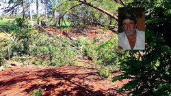 Homem morre esmagado após árvore cair sobre seu corpo em Dourados