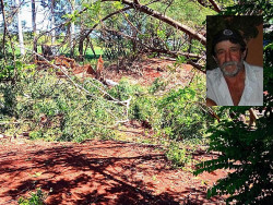 Homem morre esmagado após árvore cair sobre seu corpo em Dourados