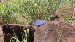 Corpo de idoso que estava desaparecido é encontrado com marcas de violência