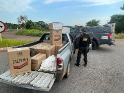 Prejuízo ao crime organizado pode chegar a R$60 mil (Imagem: DOF)