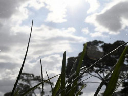 Meteorologia prevê tempo instável e 35 graus para hoje em MS