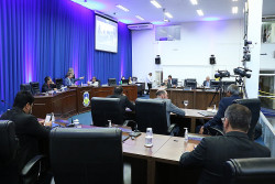 Vereadores de Dourados aprovaram 538 projetos em 2022