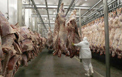 Friboi faz seleção para mais de 90 vagas em três cidades de MS