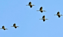 Quinta-feira com céu de brigadeiro e calor de até 35°C em MS