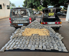 DOF apreende 275 quilos de drogas na BR-267 em Maracaju