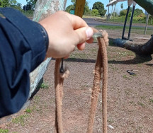 PRF impede suicídio no Trevo das Araras em Caarapó