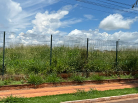 Mato alto ao lado do centro de convenções