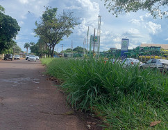 Alan ameaça punir moradores enquanto matagal toma conta de áreas públicas