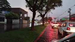Chuva desta quarta supera os 40 milímetros em Dourados