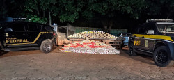 Caminhão estava carregado com 402 quilos de cocaína (Foto: Assessoria)