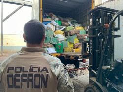 Incineração acontece nesta quinta-feira em Dourados (Foto: Assessoria)