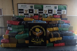 Drogas apreendidas pelo DOF no 1º quadrimestre de 2021 ultrapassam 80 toneladas